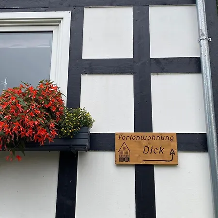 Dick * Schmallenberg