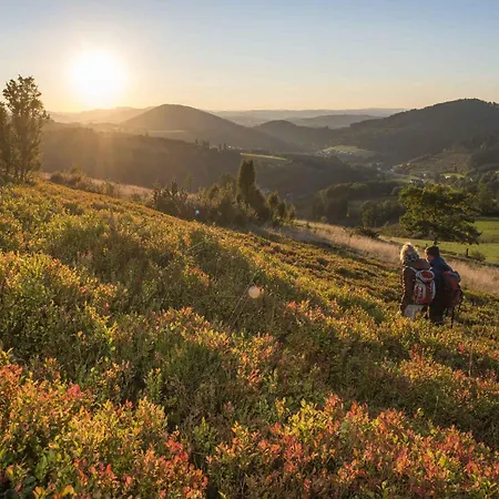 Dick Διαμέρισμα *